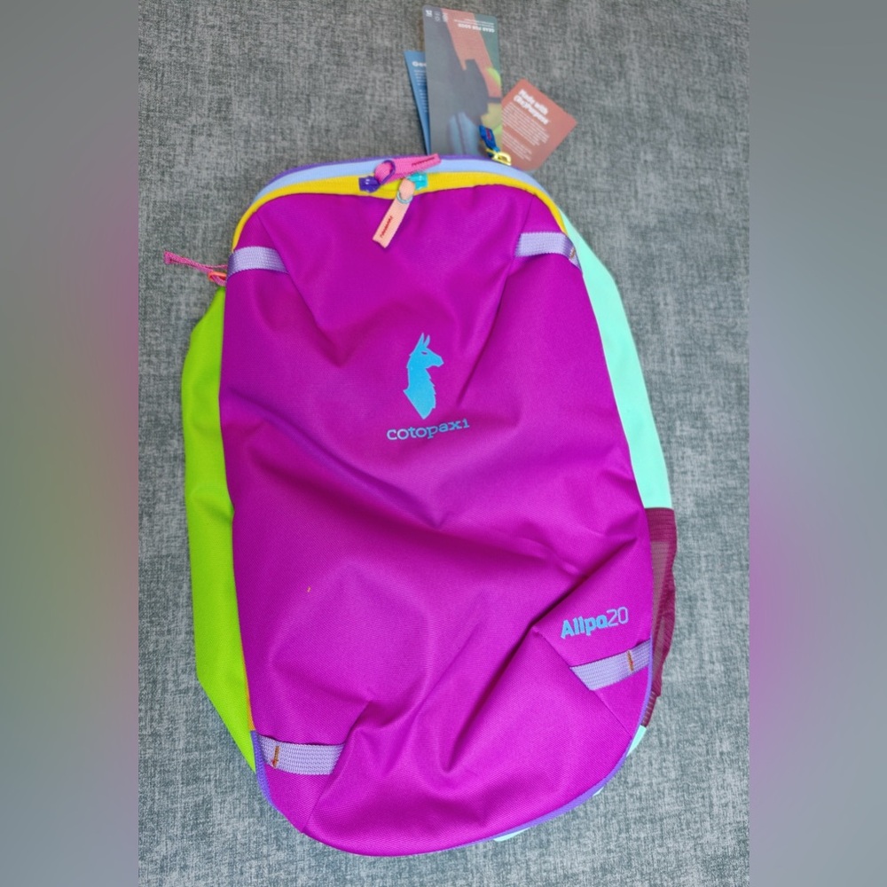 Cotopaxi Allpa 20L Colorblock Backpack - Bright Magenta & Aqua